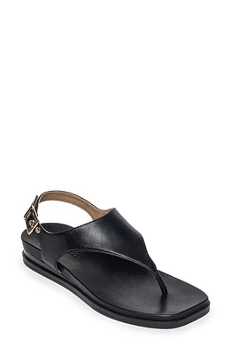 BERNARDO FOOTWEAR Concord Slingback Sandal at Nordstrom,