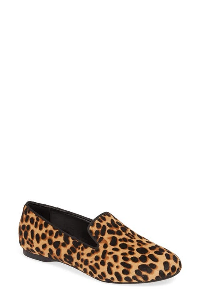 Birdies Starling Flat in Cheetah Calf Hair/Black at Nordstrom, Size 6