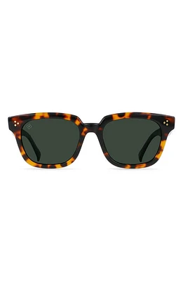 RAEN Phonos 53mm Polarized Square Sunglasses in Huru /Green Polar at Nordstrom