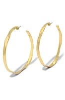 Alexis Bittar Molten X-Large Hoop Earrings in Yellow Gold at Nordstrom