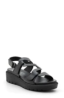 ara Bayview Strappy Sandal Black at Nordstrom,