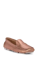 BEAUTIISOLES Cassandra Loafer at Nordstrom,