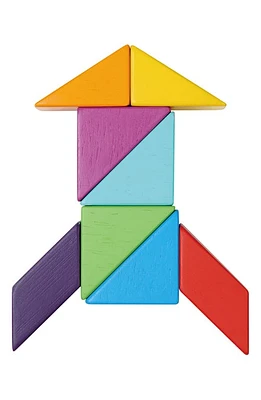 Tender Leaf Toys Designer Magblocs in Multi at Nordstrom