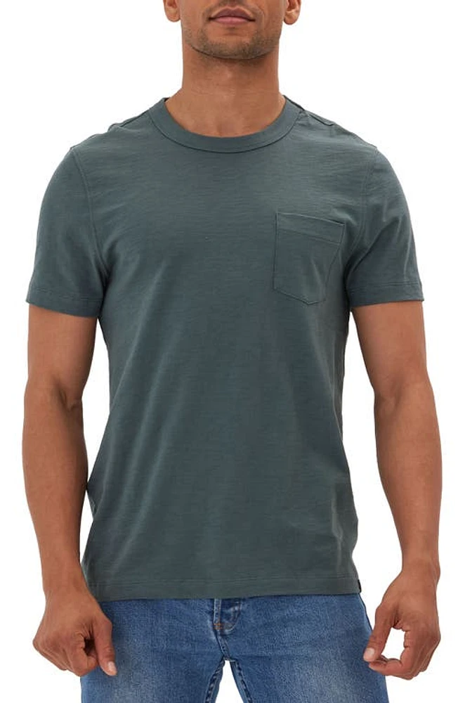 Threads 4 Thought Slub Jersey Organic Cotton T-Shirt at Nordstrom,