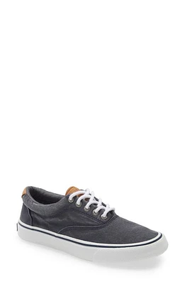 Sperry Striper II CVO Core Sneaker Navy at Nordstrom,