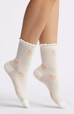 Casa Clara Floral Embroidered Cotton Crew Socks in Cream Rose at Nordstrom