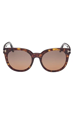 TOM FORD Moira 53mm Polarized Butterfly Sunglasses in Dark Havana /Brown at Nordstrom