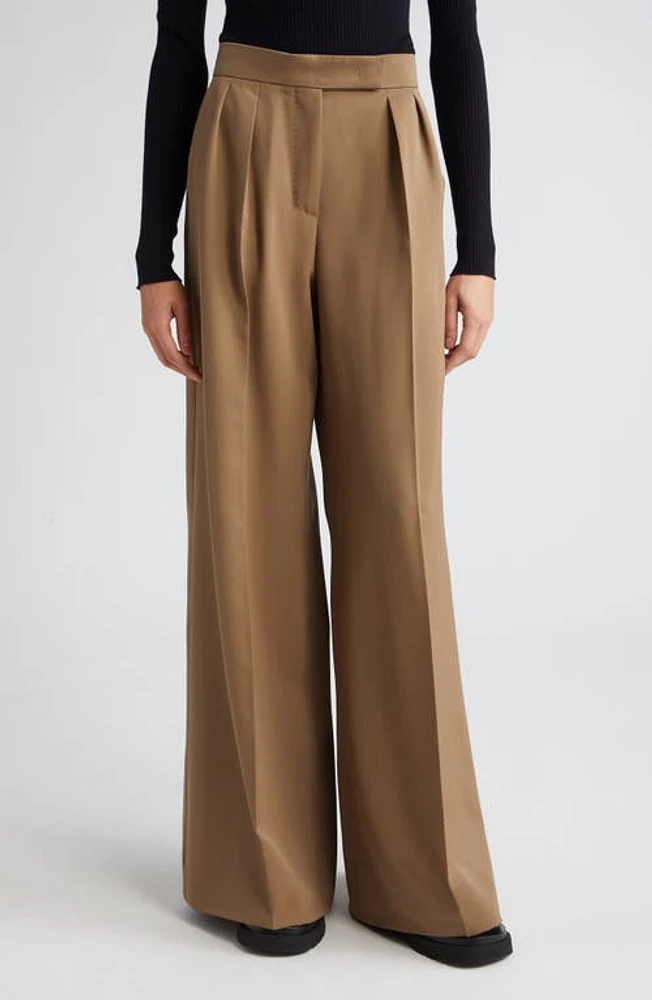 Max Mara Libbra Pleated Wide Leg Virgin Wool & Mohair Pants Mud at Nordstrom,