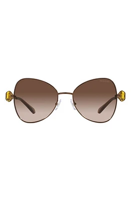 Swarovski 57mm Butterfly Sunglasses in Brown Gradient at Nordstrom