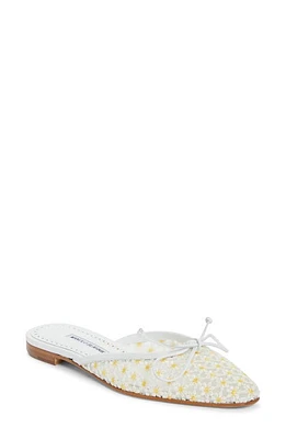 Manolo Blahnik Daisy Lace Mule White Multi at Nordstrom,