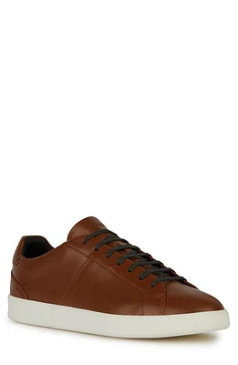 Geox Regio Sneaker Light Brown at Nordstrom,