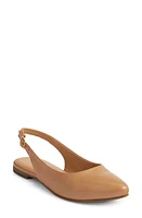 Trotters Evelyn Pointed Toe Slingback Flat - Multiple Widths Available Medium Beige at Nordstrom,