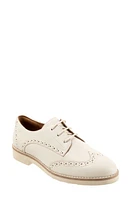 SoftWalk Willet Wingtip Derby at Nordstrom