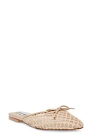 Steve Madden Birdee Raffia Mule at Nordstrom,