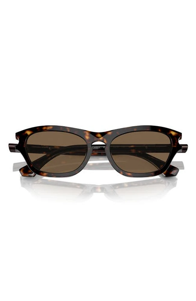 burberry 55mm Pillow Sunglasses in Dk Havana at Nordstrom