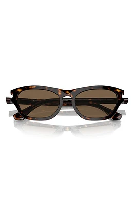 burberry 55mm Pillow Sunglasses in Dk Havana at Nordstrom