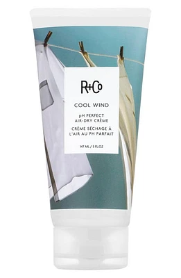 R+Co Cool Wind pH Perfect Air-Dry Hair Styling Cream at Nordstrom, Size 5 Oz