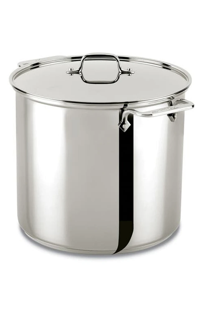 All-Clad 16-Quart Stainless Steel Stockpot with Lid in Silver at Nordstrom