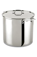 All-Clad 16-Quart Stainless Steel Stockpot with Lid in Silver at Nordstrom