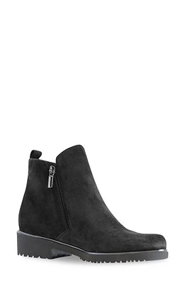 Munro Rourke Water Resistant Bootie Suede at Nordstrom