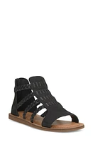 Lucky Brand Biretta Gladiator Sandal at Nordstrom,