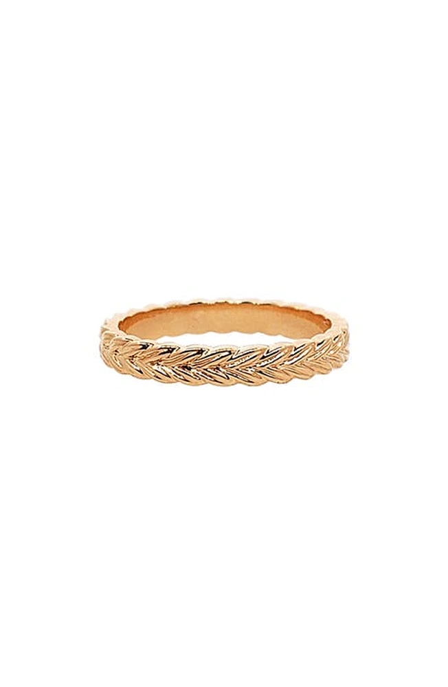 Sethi Couture Braid Band Ring Rose Gold at Nordstrom,