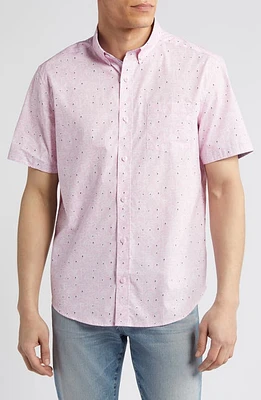 Johnston & Murphy Flamingo Print Short Sleeve Cotton Button-Down Shirt Pink at Nordstrom, R