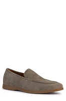 Geox Ven Zone Venetian Loafer at Nordstrom,