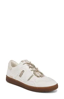 Sam Edelman Jayne Low Top Sneaker White/Stone Grey at Nordstrom,