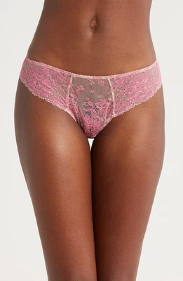 JOURNELLE Chloe Mesh & Lace French Cut Panties Sorbet at Nordstrom,