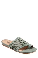 SoftWalk Corsica II Slide Sandal Sage at Nordstrom,