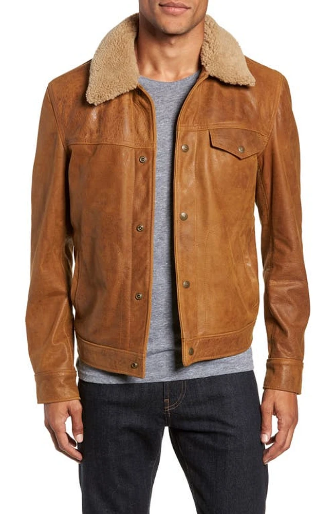 Schott NYC Leather Trucker Jacket with Genuine Sheepskin Collar Sycamore at Nordstrom,