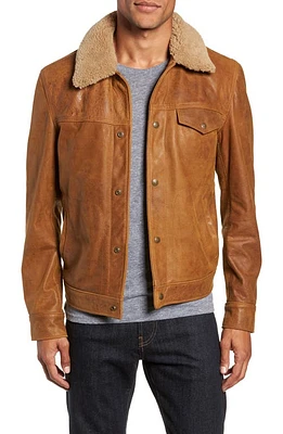 Schott NYC Leather Trucker Jacket with Genuine Sheepskin Collar Sycamore at Nordstrom,