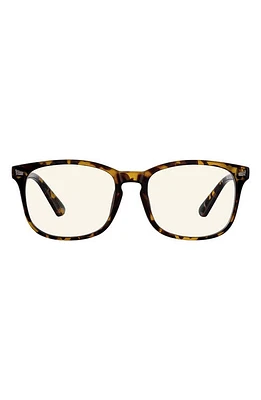 Velvet Eyewear Hannah 52mm Round Blue Light Blocking Glasses in Tortoise at Nordstrom