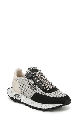 Circus NY by Sam Edelman Devyn Sneaker Vanilla Bean /Black at Nordstrom,