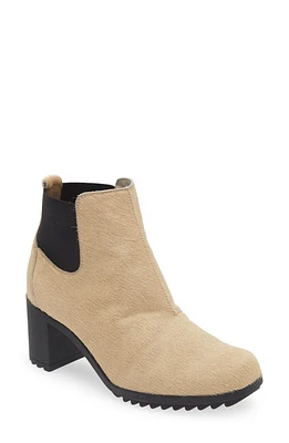 Arche Shelsi Chelsea Boot in Sable at Nordstrom, Size 9Us