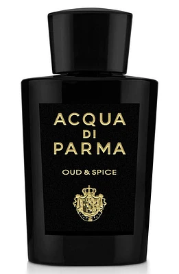 Acqua di Parma Signatures of the Sun Oud & Spice Eau de Parfum at Nordstrom, Size 6 Oz