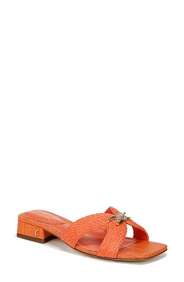 Circus NY by Sam Edelman Joella Sandal Dark Aura Orange at Nordstrom,