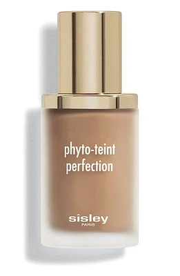 Sisley Paris Phyto-Teint Perfection Foundation in 6C Amber at Nordstrom, Size 1 Oz