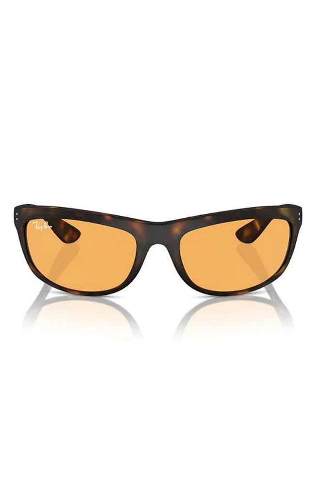 Ray-Ban 62mm Oversize Rectangular Sunglasses in Matte Havana at Nordstrom