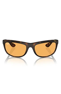 Ray-Ban 62mm Oversize Rectangular Sunglasses in Matte Havana at Nordstrom