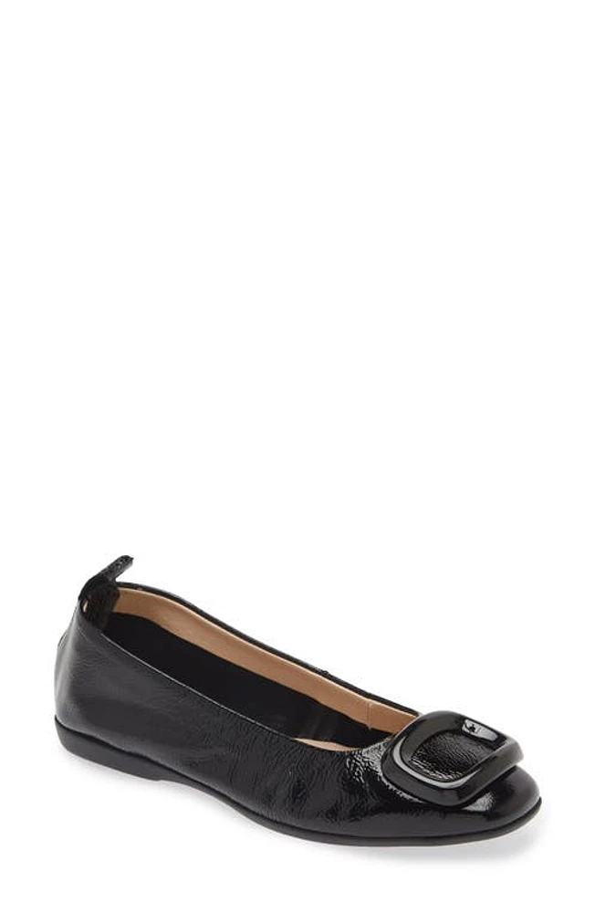 Wonders Ballet Flat Lack at Nordstrom,