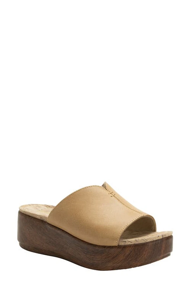 Alegria by PG Lite Triniti Platform Wedge Slide Sandal at Nordstrom,