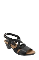 Trotters Meadow Ankle Strap Sandal Black at Nordstrom,