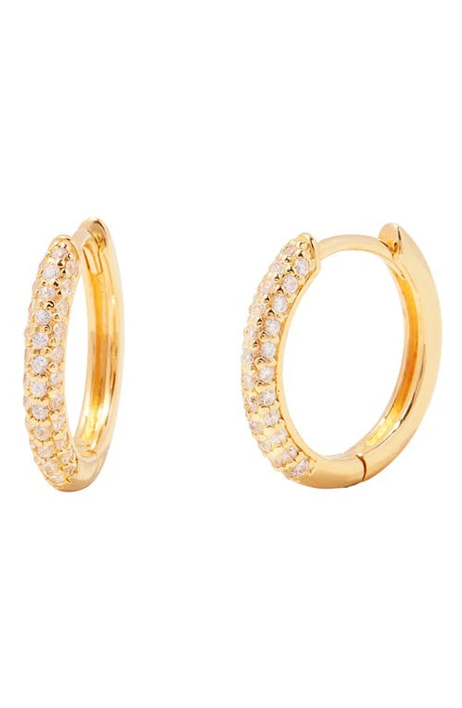 Brook and York Cecile Pavé Cubic Zirconia Hoop Earrings in Gold at Nordstrom