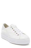 Paul Green Bixby Platform Sneaker at Nordstrom,