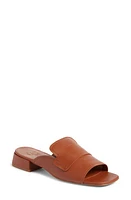 Pedro Garcia Ebba Slide Sandal Petitgrain at Nordstrom,