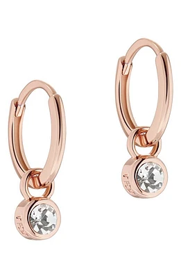 Ted Baker London Sinalaa Crystal Mini Huggie Hoop Earrings in Rose Gold Tone Clear Crystal at Nordstrom