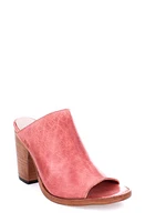 Bed Stu Clavel Peep Toe Mule at Nordstrom,