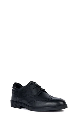 Geox Zheeno Wingtip Derby Black at Nordstrom,